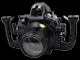 Nikon D700: подводная съемка Nikon D700: подводная съемка